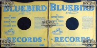 Bluebird_3 USA